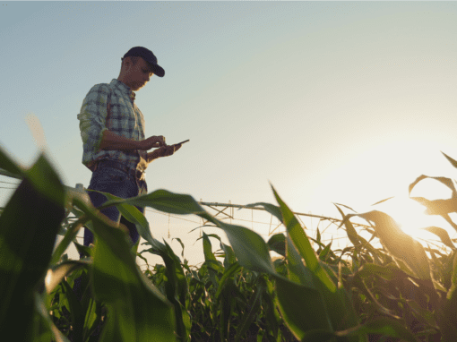 Como os dados em tempo real capacitam os varejistas agrícolas