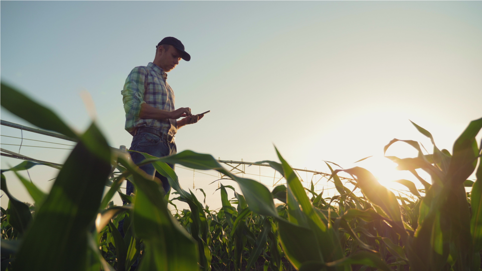 How real-time data empowers ag retailers