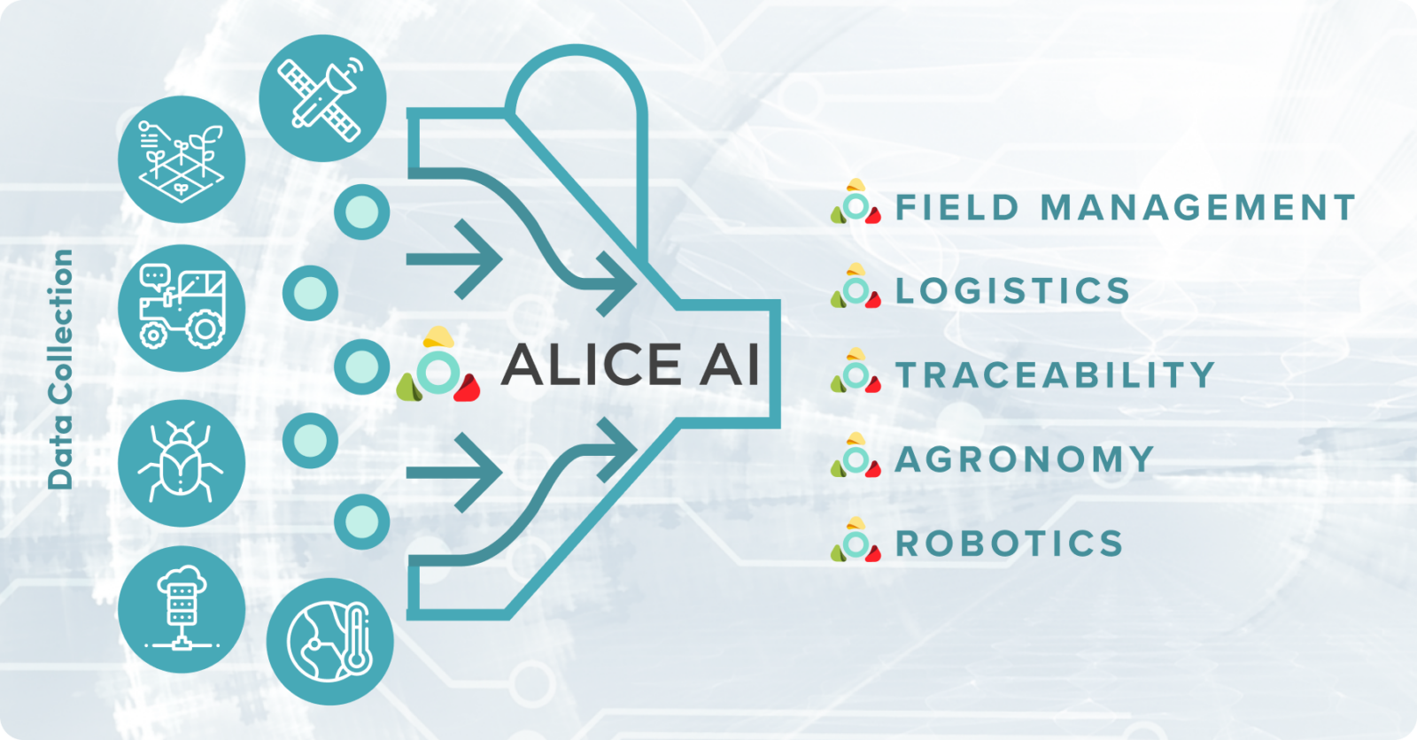 Alice Graphic_ENG_vertical