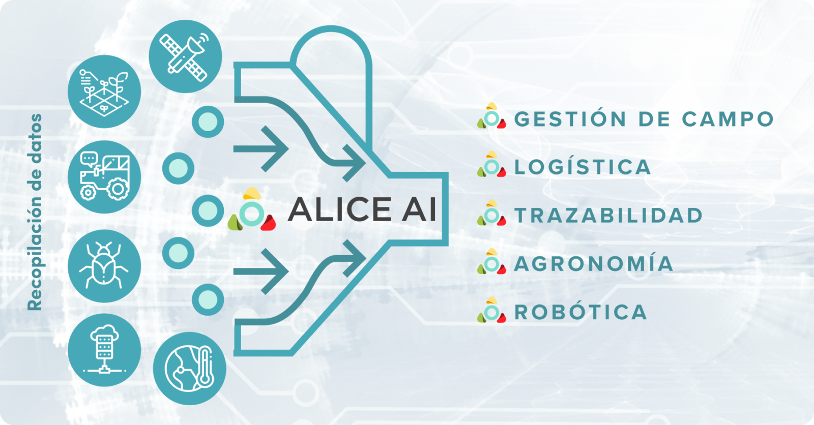 Alicegraphic_ESLA Alicegraphic_ESLA