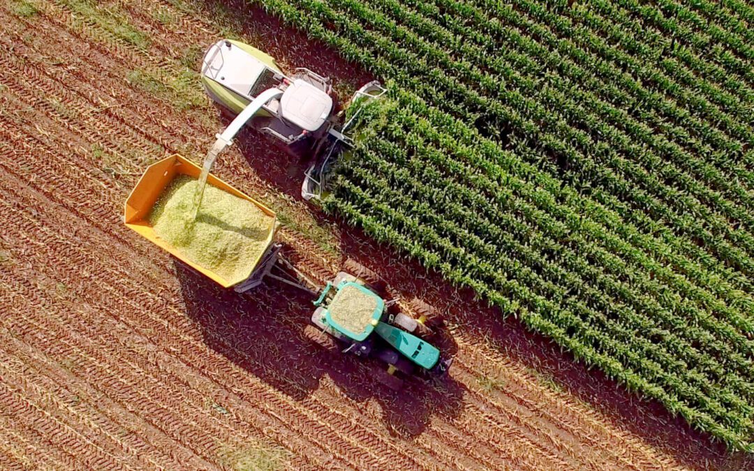 Brazilian agribusiness outlook: understand the sector in depth