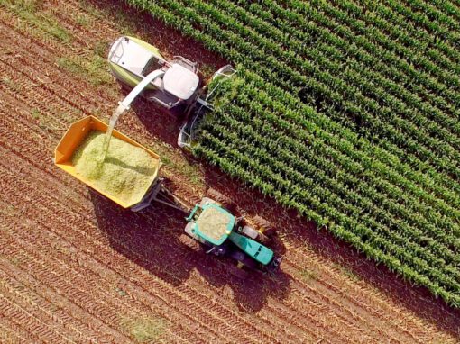 Brazilian agribusiness outlook: understand the sector in depth