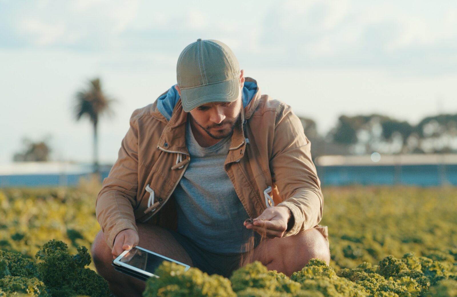 Geomonitoramento agrícola: quais os benefícios e como implementar?