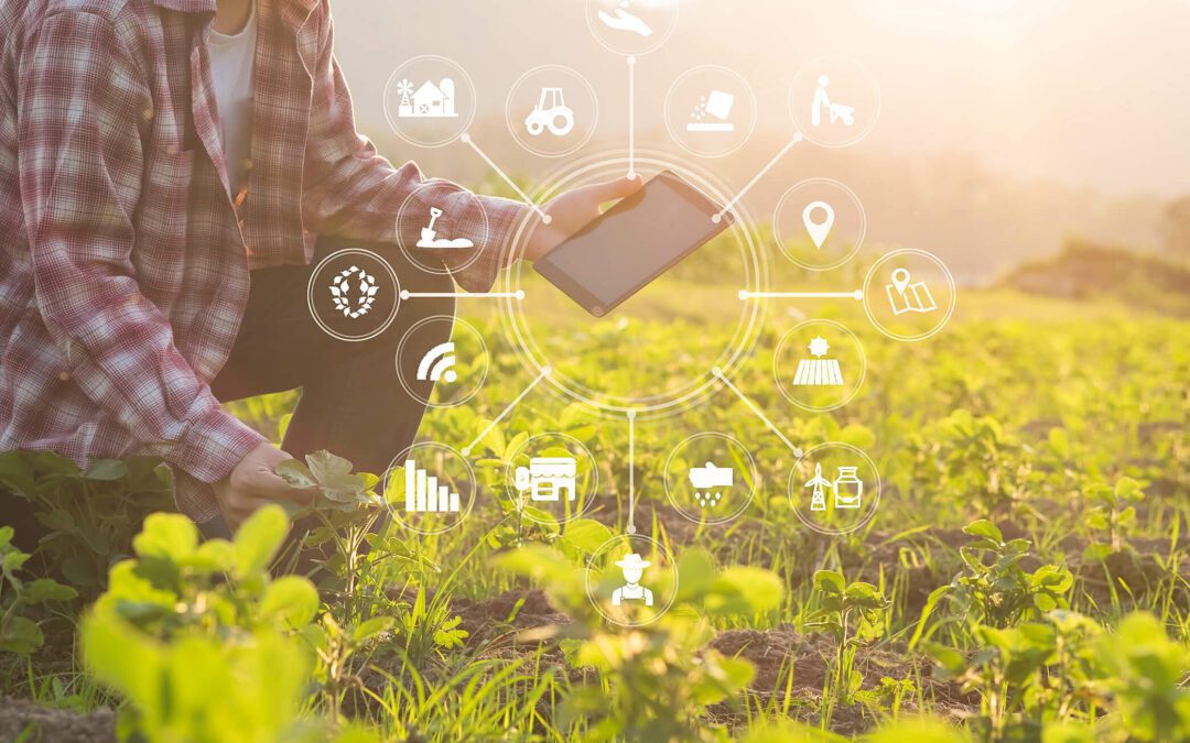 Digital agriculture is transforming the sector. Learn more about it!