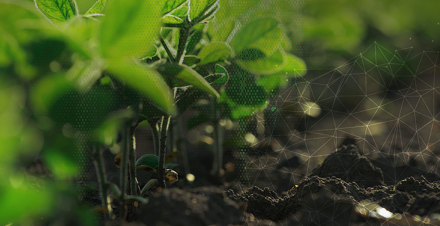 Agricultura de precisão: saiba como as soluções da Solinftec podem ajudar!