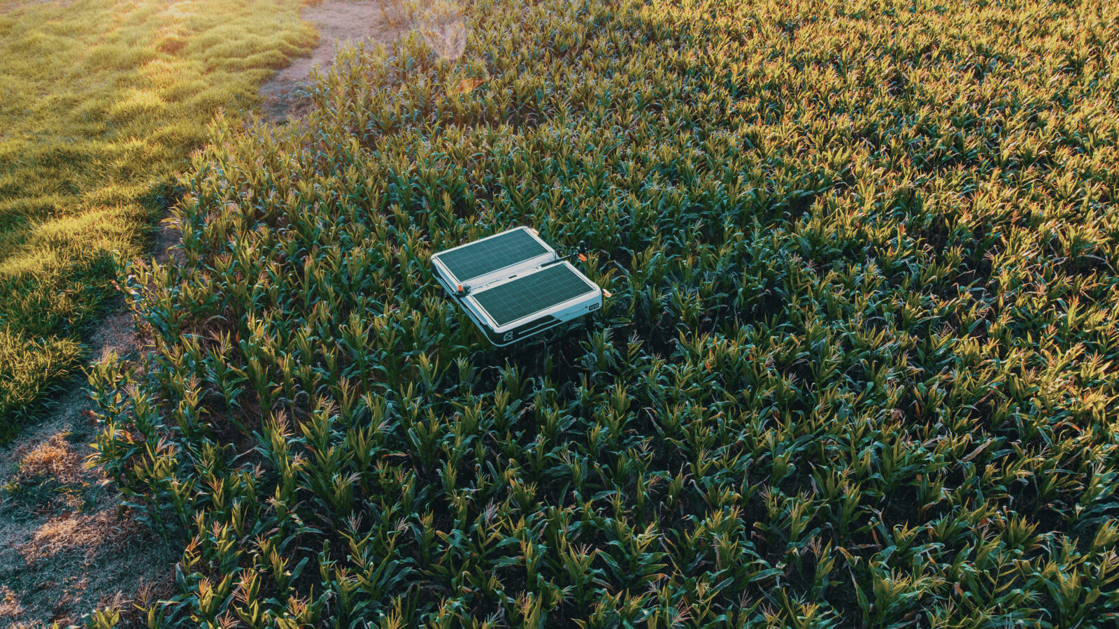 DJI_0054
