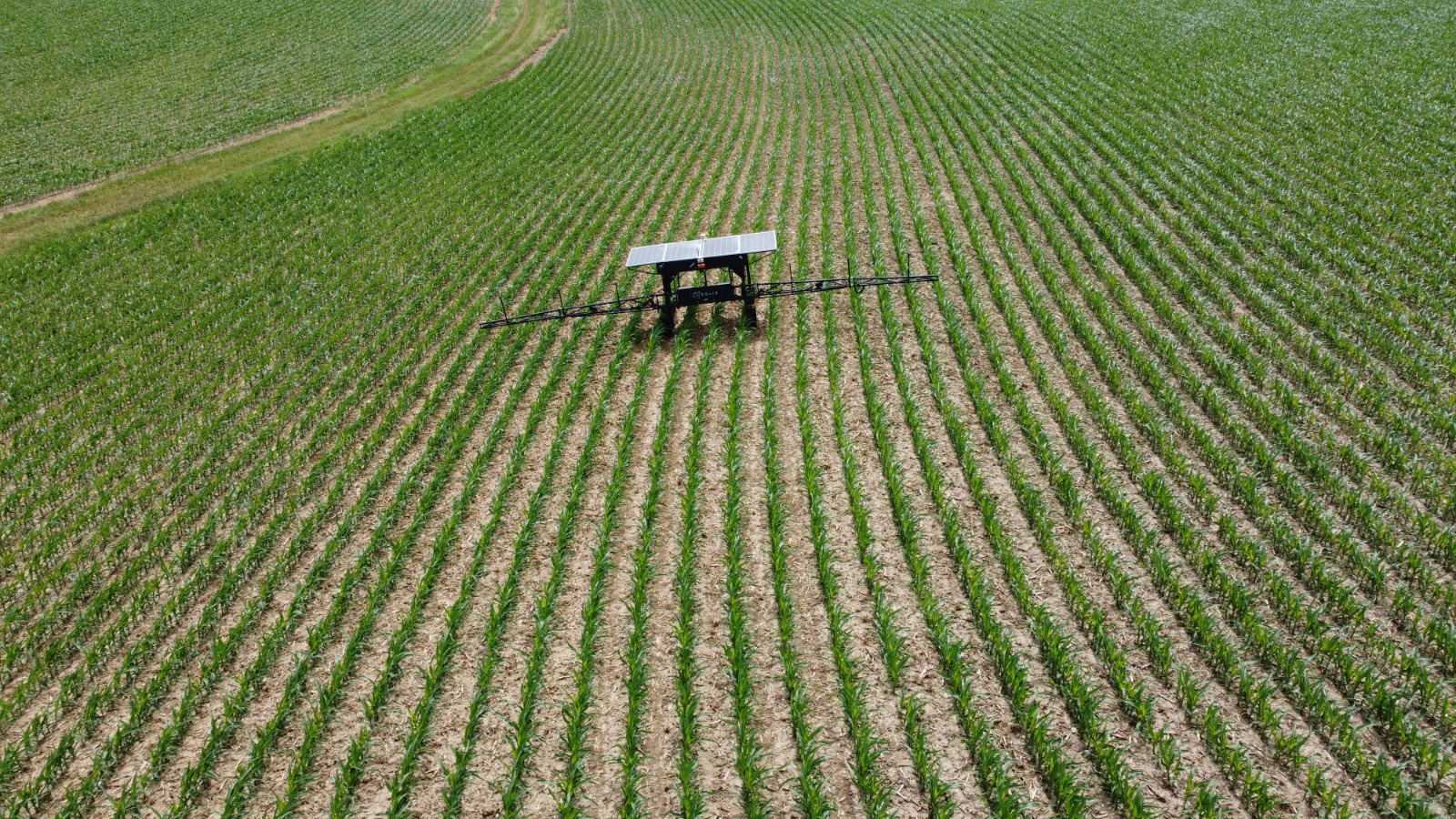 solix sprayer robot in soybean field