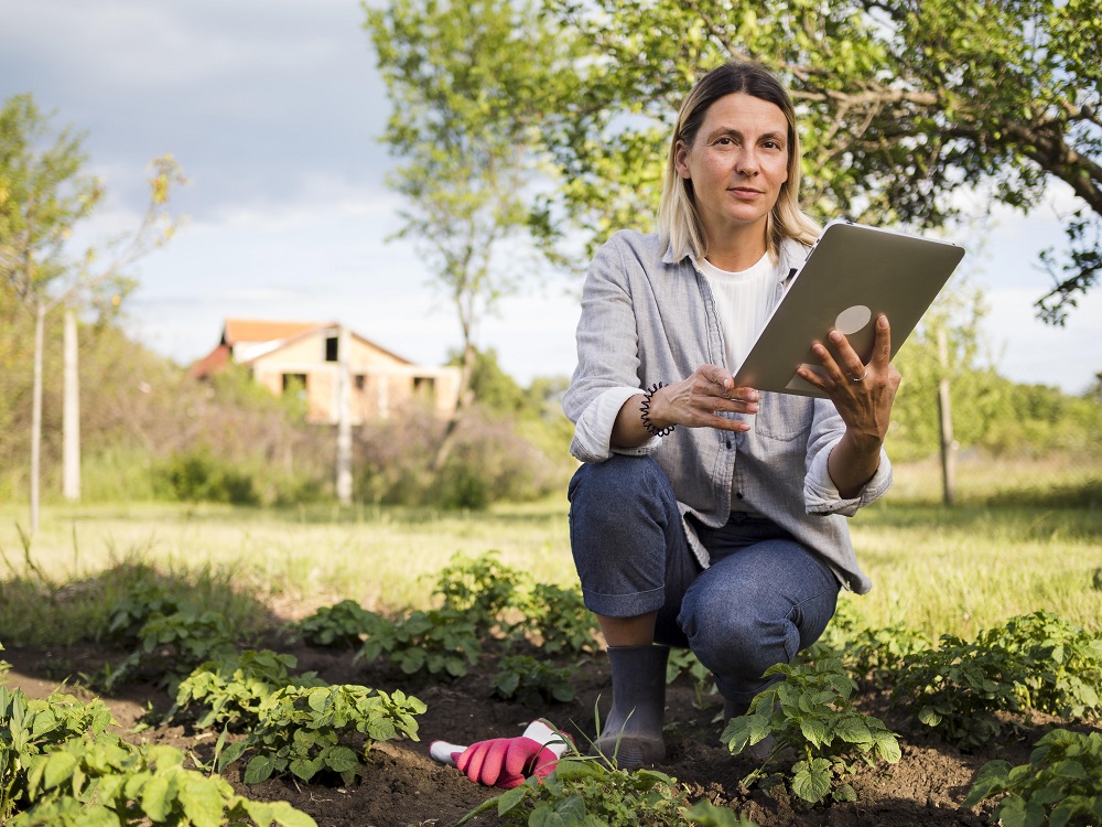 Internet rural: como funciona e qual a melhor opção?