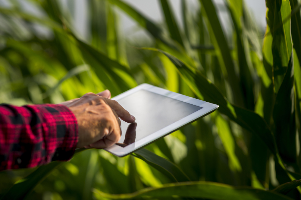 Tecnologia na agricultura: eficiência que impulsiona a produtividade