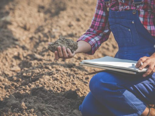 A importância da análise de solo e como fazê-la
