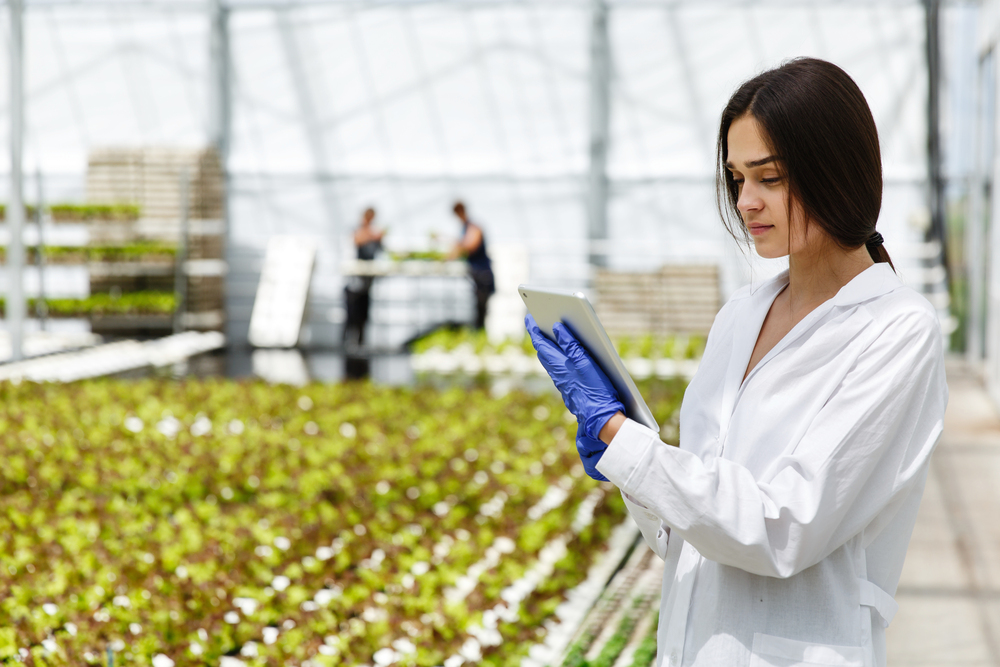 Segurança alimentar: como atua a tecnologia na produção agrícola