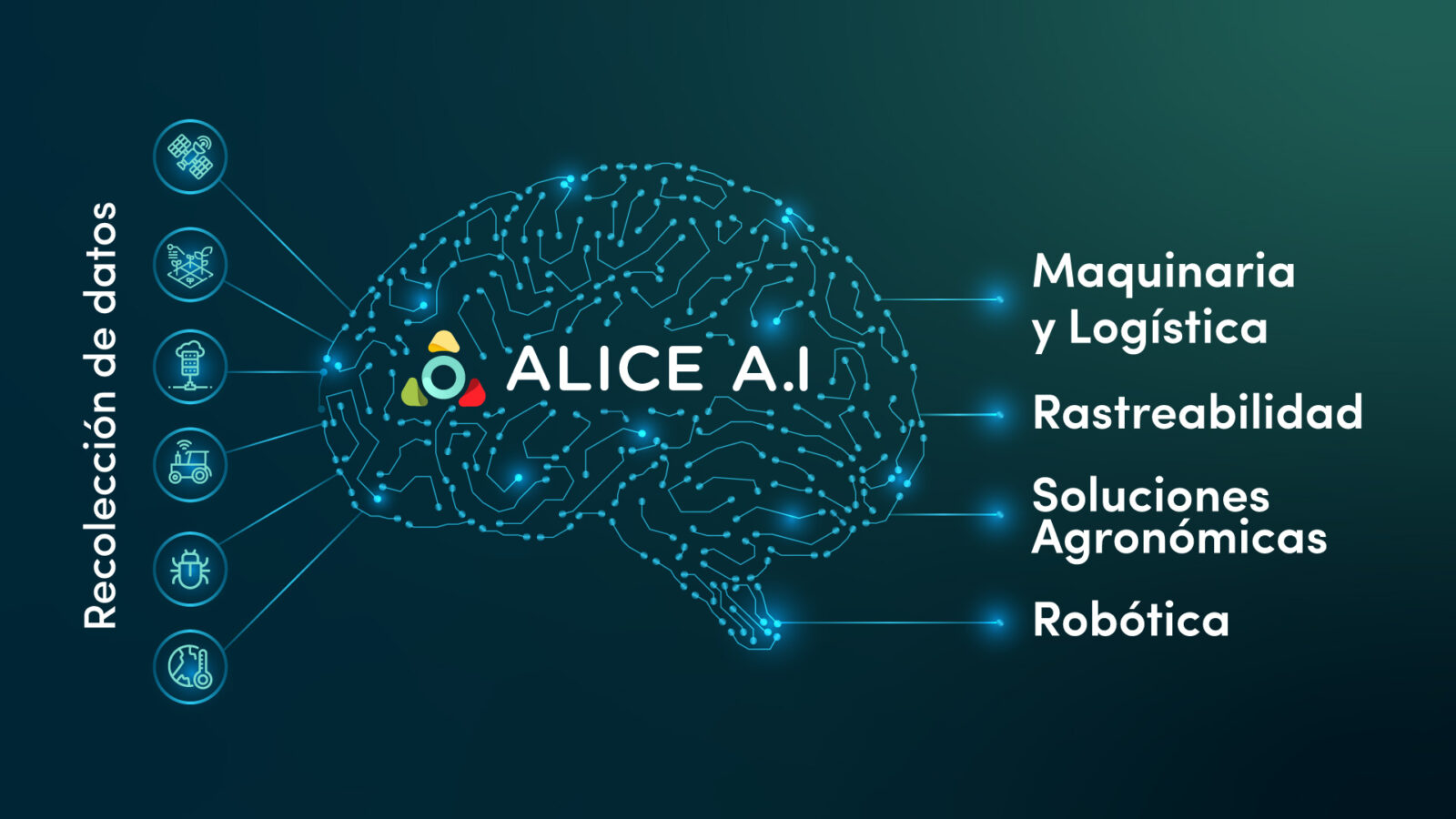 Alice-Site-ES-02 Alicegraphic_ESLA