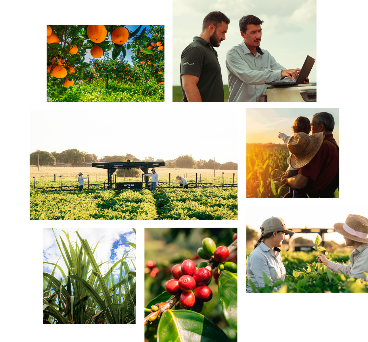Solinftec AgTech Solutions - Plataforma de Software