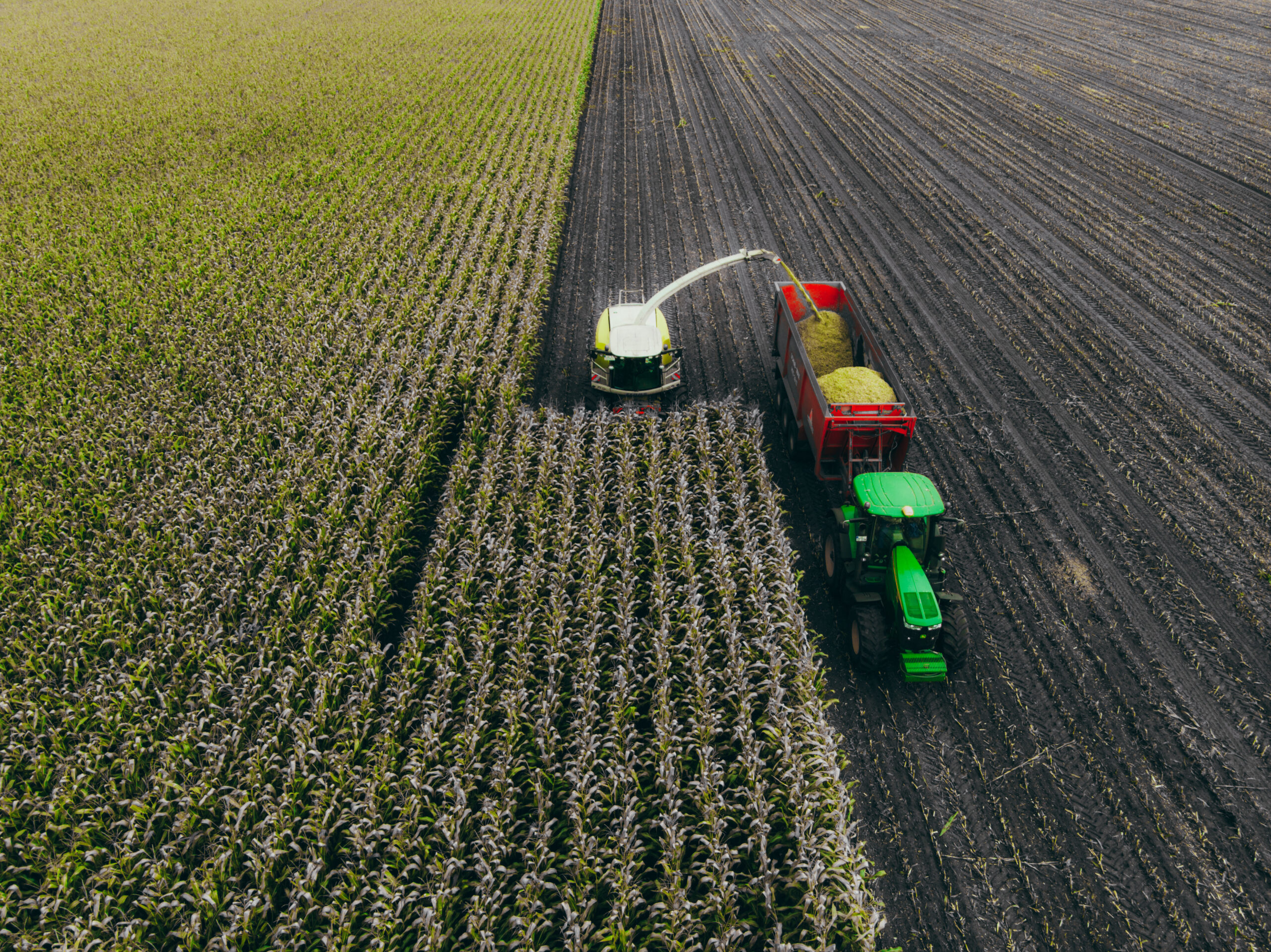 Agricultura de precisão: gestão e decisão além das máquinas